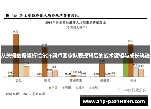 从关键数据解析恰尔汗奥卢国家队表现背后的战术逻辑与成长轨迹